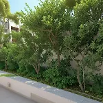 Villa Napa Hills Seaview *